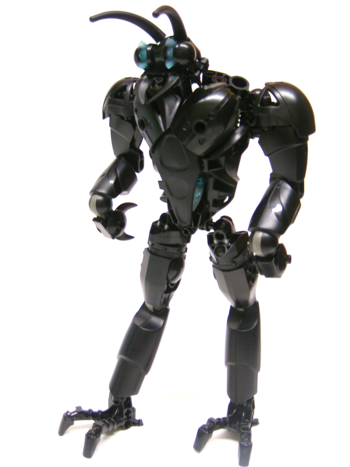 bugger09.jpg
