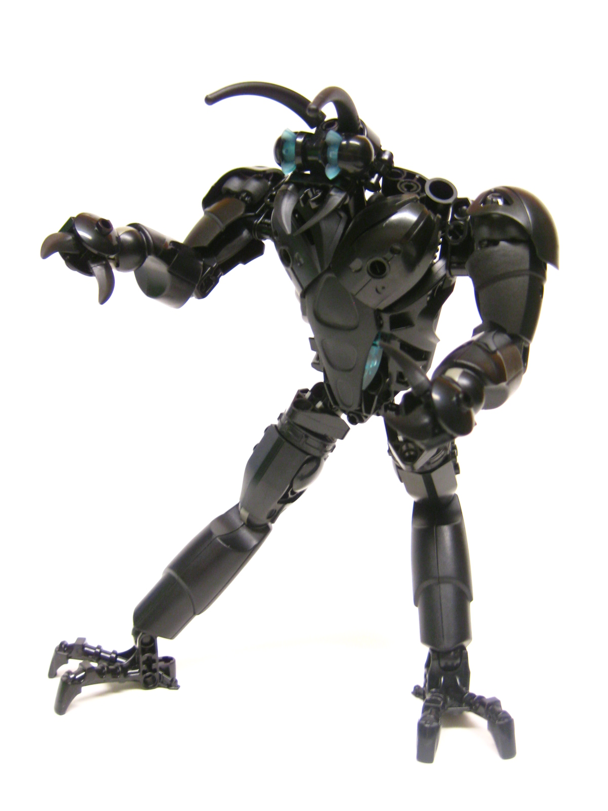 bugger10.jpg