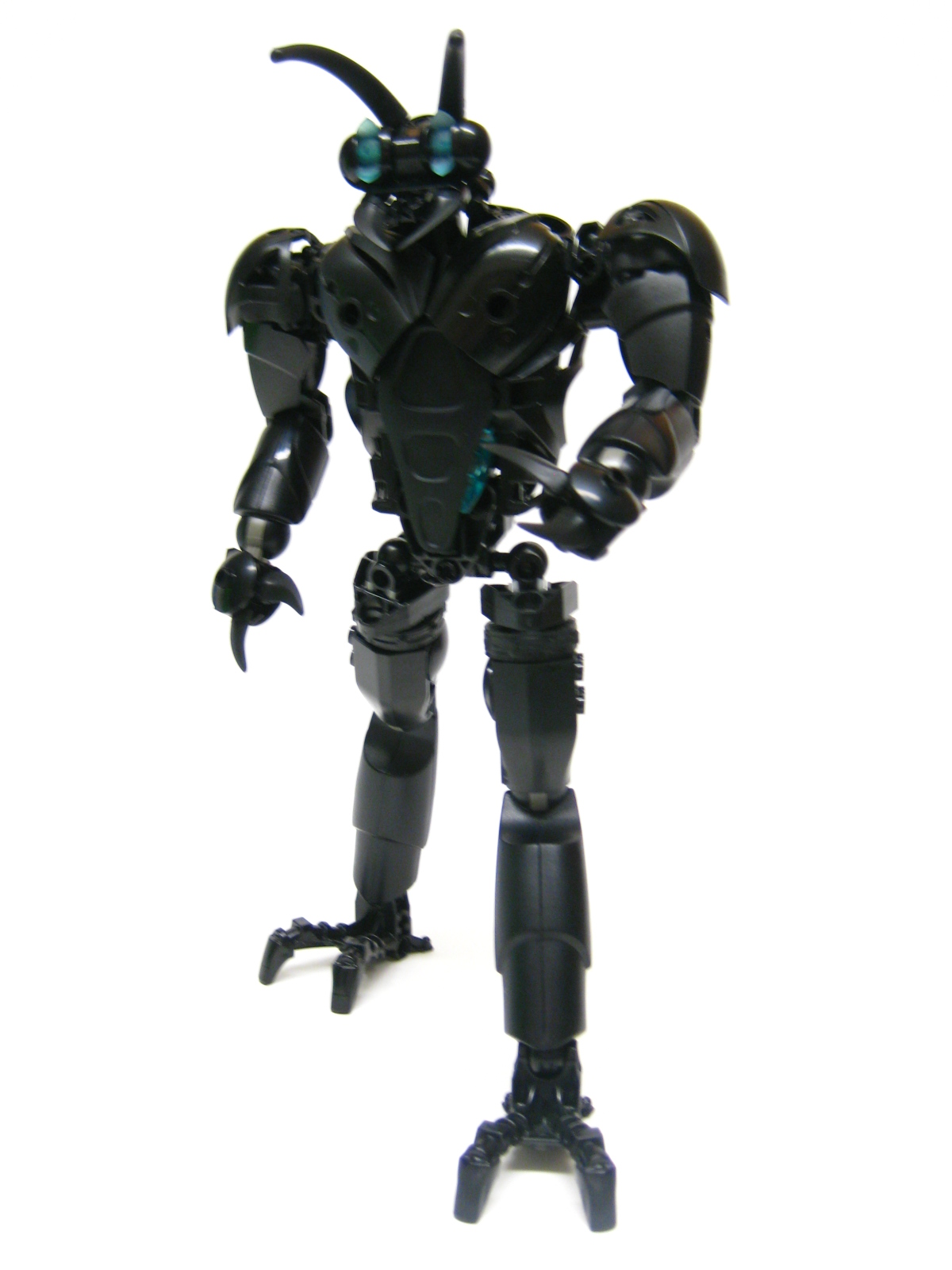bugger11.jpg