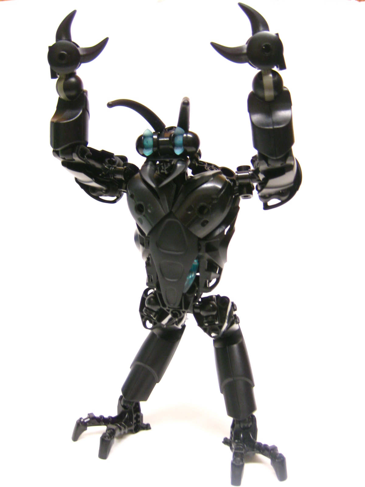 bugger12.jpg