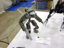bionicles-160.jpg