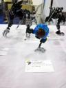 bionicles-162.jpg