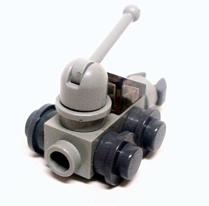 earwig02.jpg
