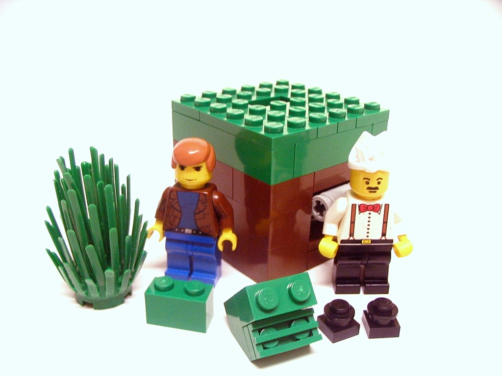 hntbs08.jpg
