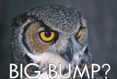 big_bump_owl.jpg