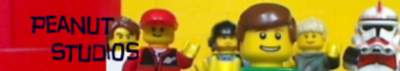 bim_banner.png