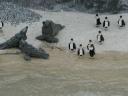 berlinzoo4.jpg