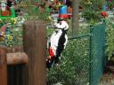 legoland15.jpg