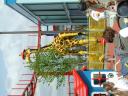 legoland18.jpg