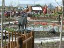 legoland19.jpg