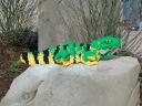 legoland25.jpg