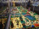 dsc00558_small.jpg