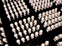 troopers_nervensache_2000_1500.jpg