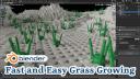 06_grass.jpg