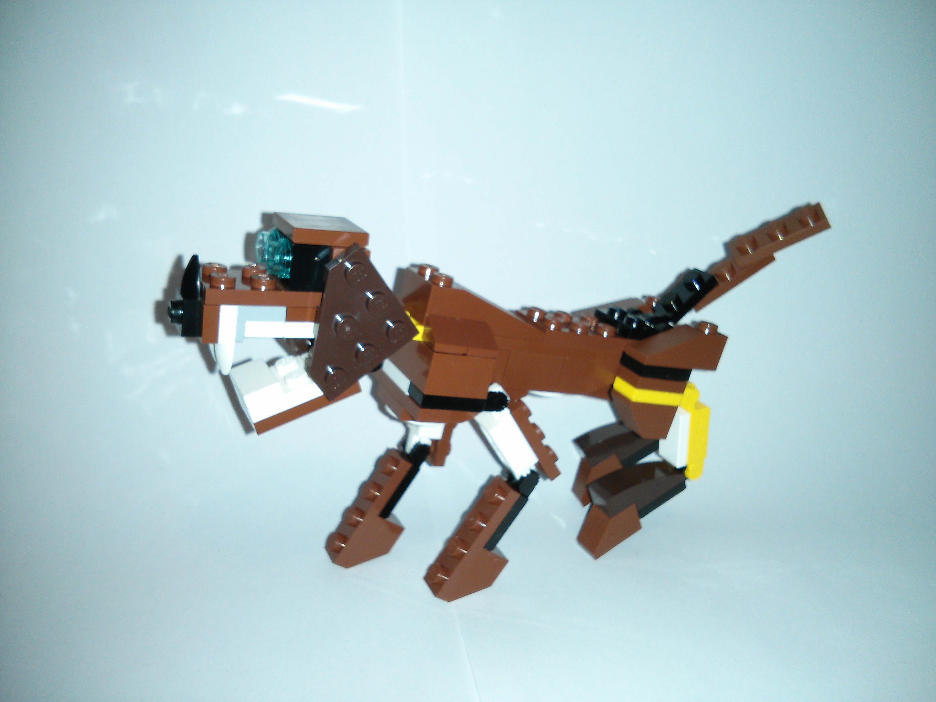 img_20130317_194125.jpg