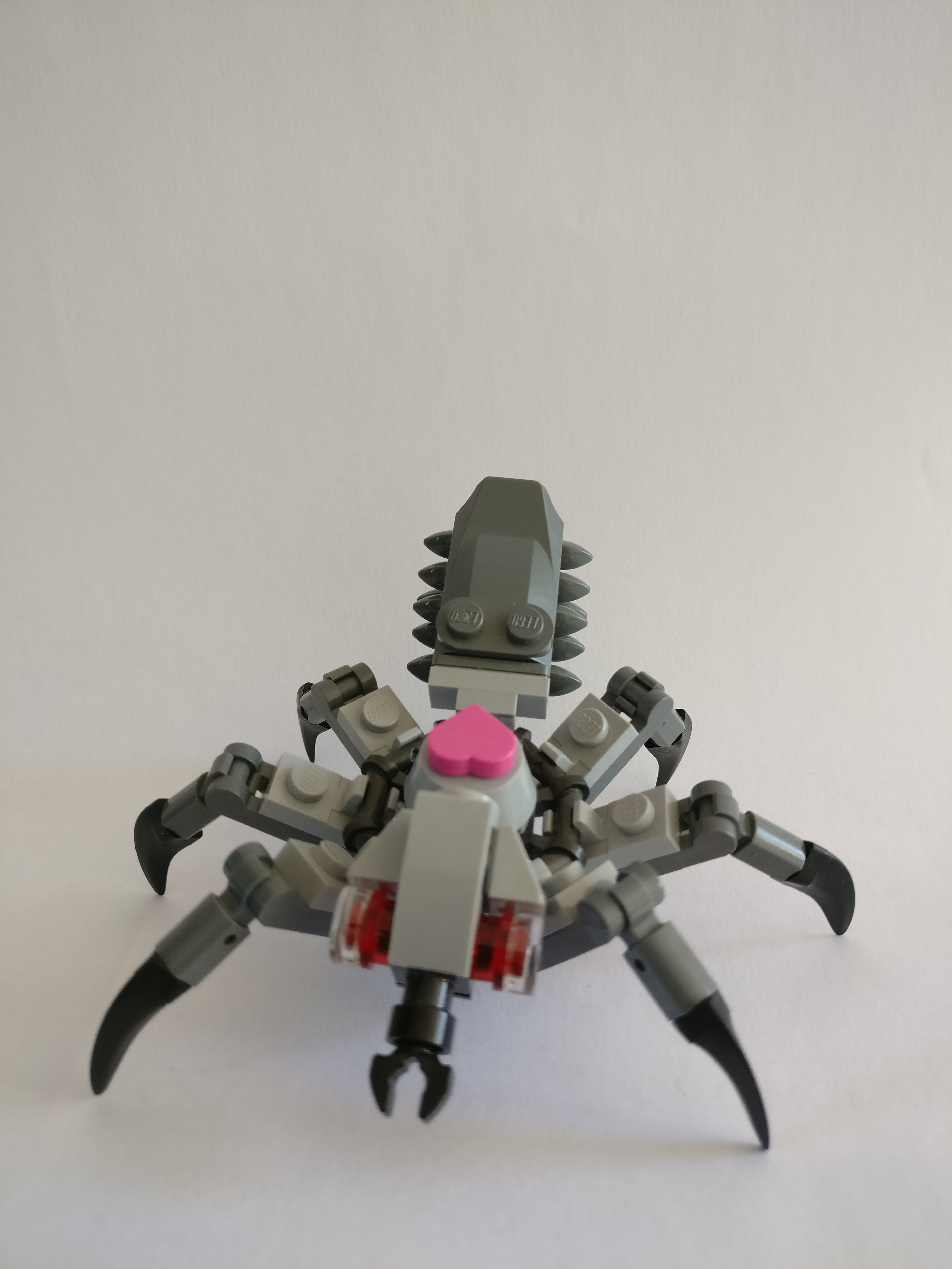 antech_-_1.jpg