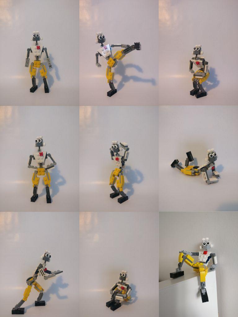 posing_-_copie.jpg