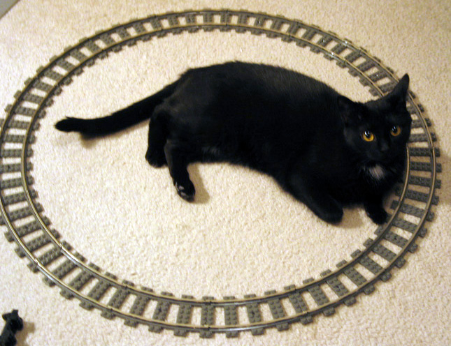 cattrack.jpg