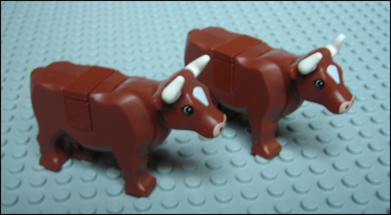 cows_redbrown.jpg