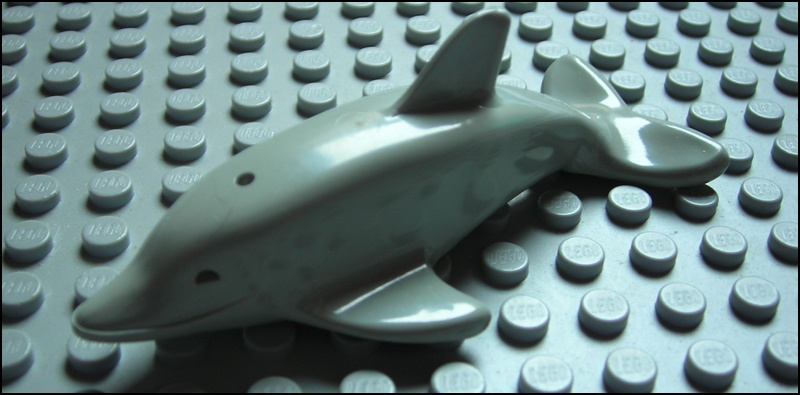 dolphin_lightgray.jpg
