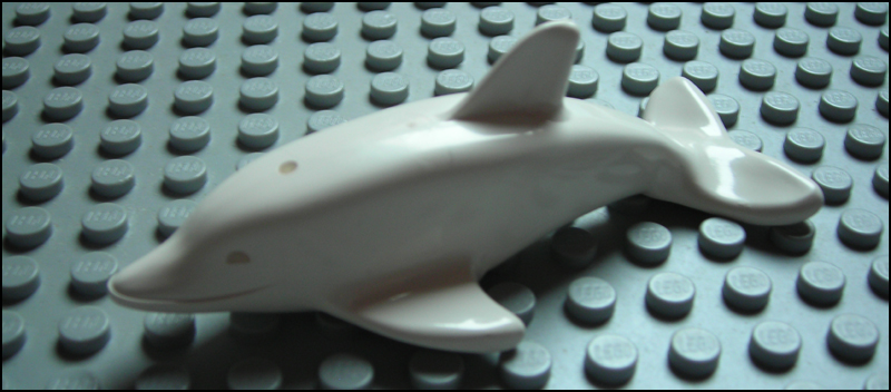 dolphin_white.jpg