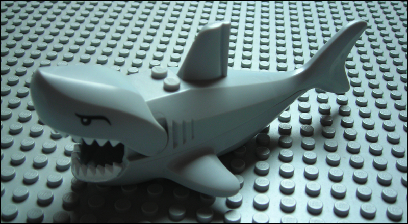 shark_newstyle.jpg