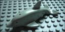 dolphin_lightgray.jpg