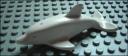dolphin_white.jpg