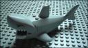 shark_newstyle.jpg