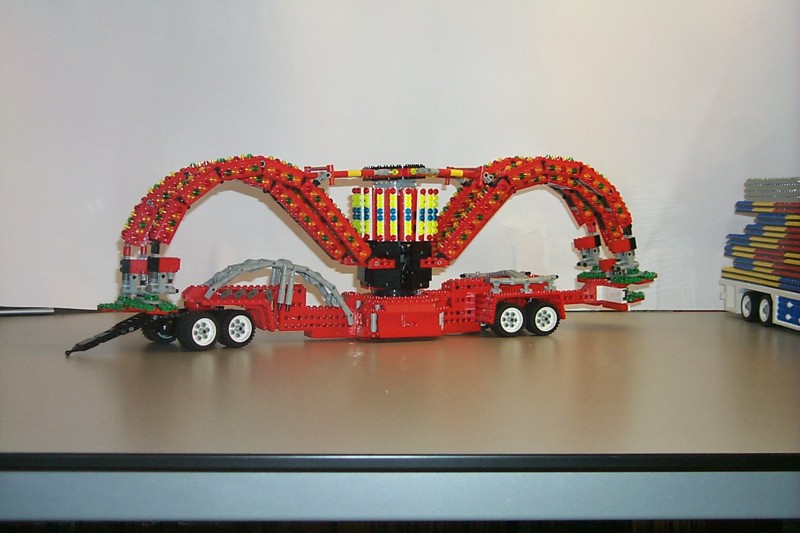 polyp-02.jpg
