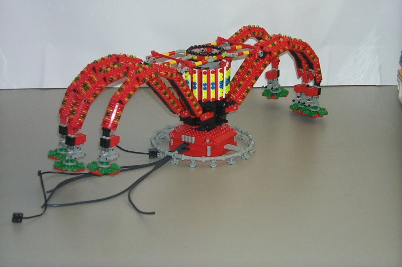 polyp-07.jpg