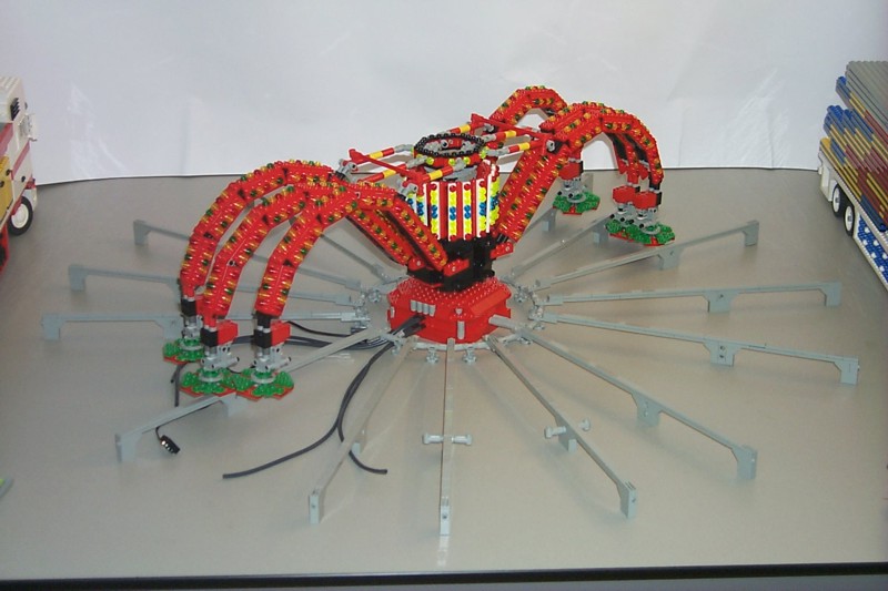 polyp-08.jpg