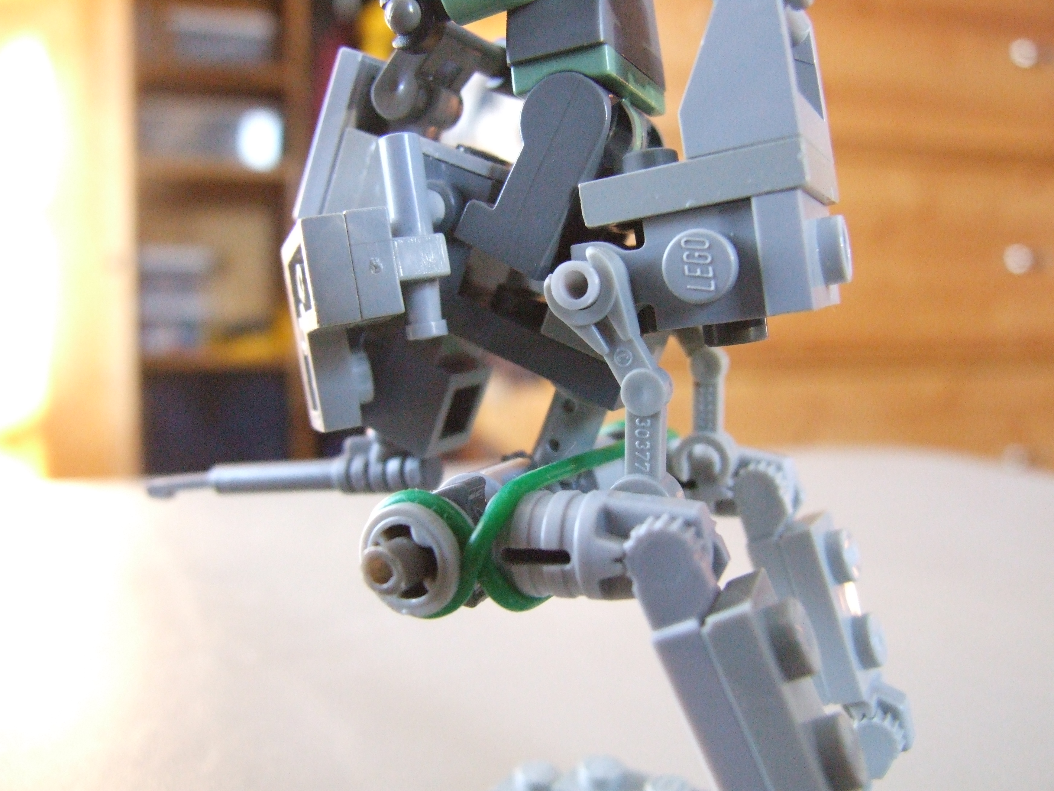 dscf5529.jpg