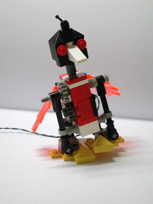 bird1.jpg