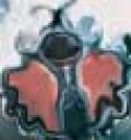 warped_makuta.jpg