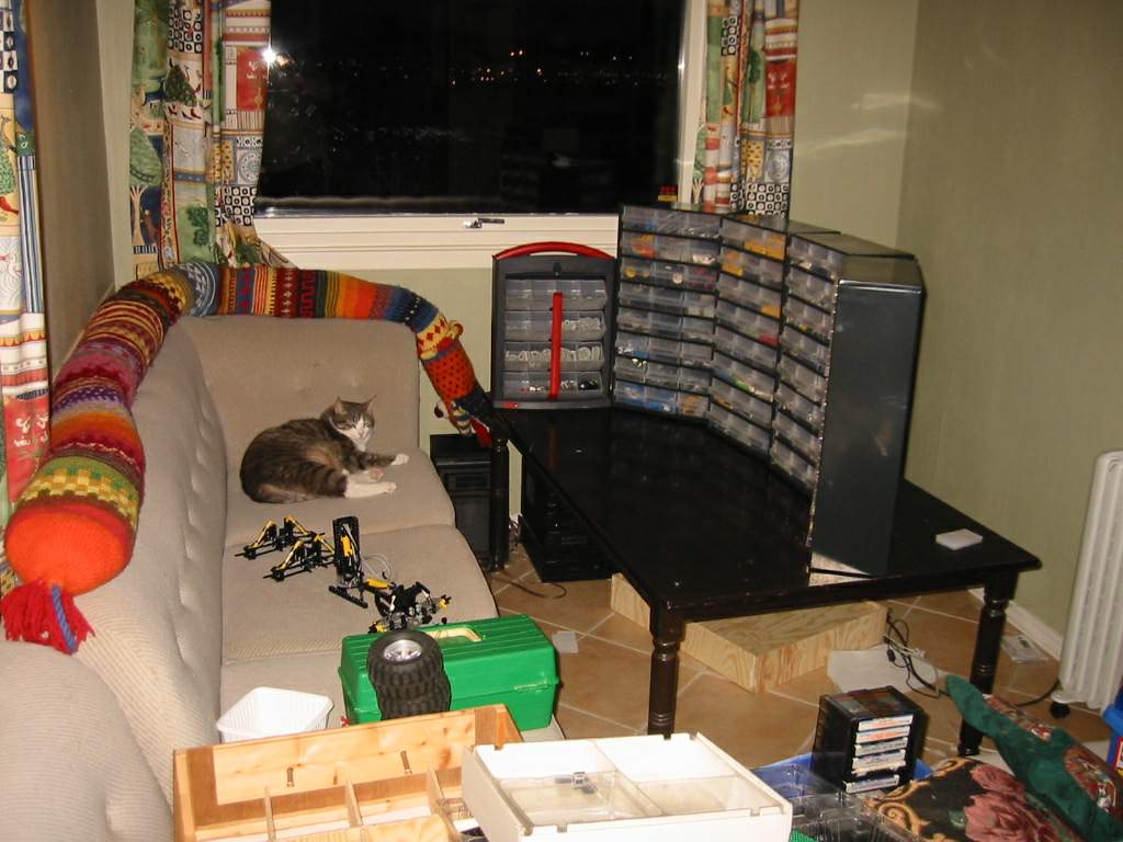 collection_2.jpg