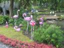 2007-07-29_0138.jpg
