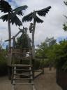 2007-07-29_0153.jpg