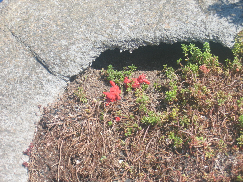 2007-07-26_0037.jpg