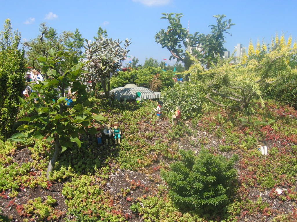 2007-07-26_0038.jpg