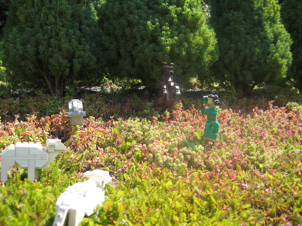 2007-07-26_0049.jpg