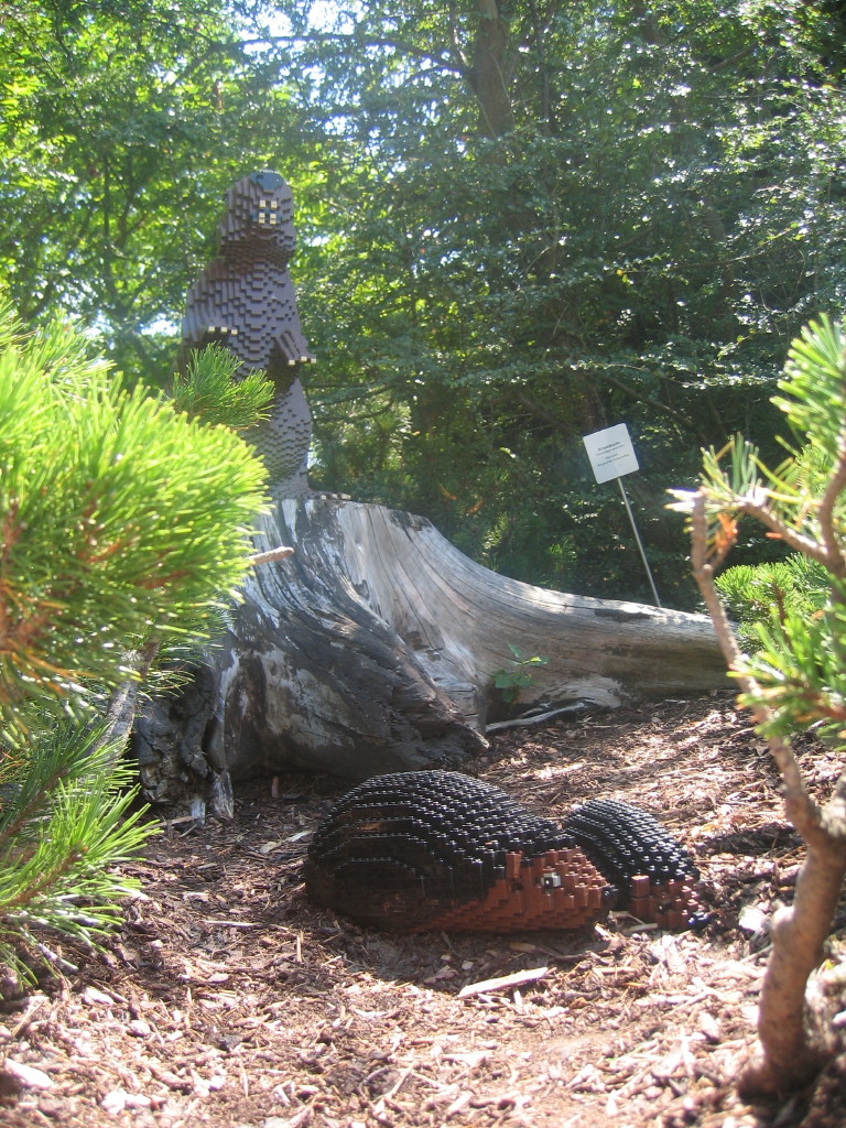 2007-07-26_0141.jpg