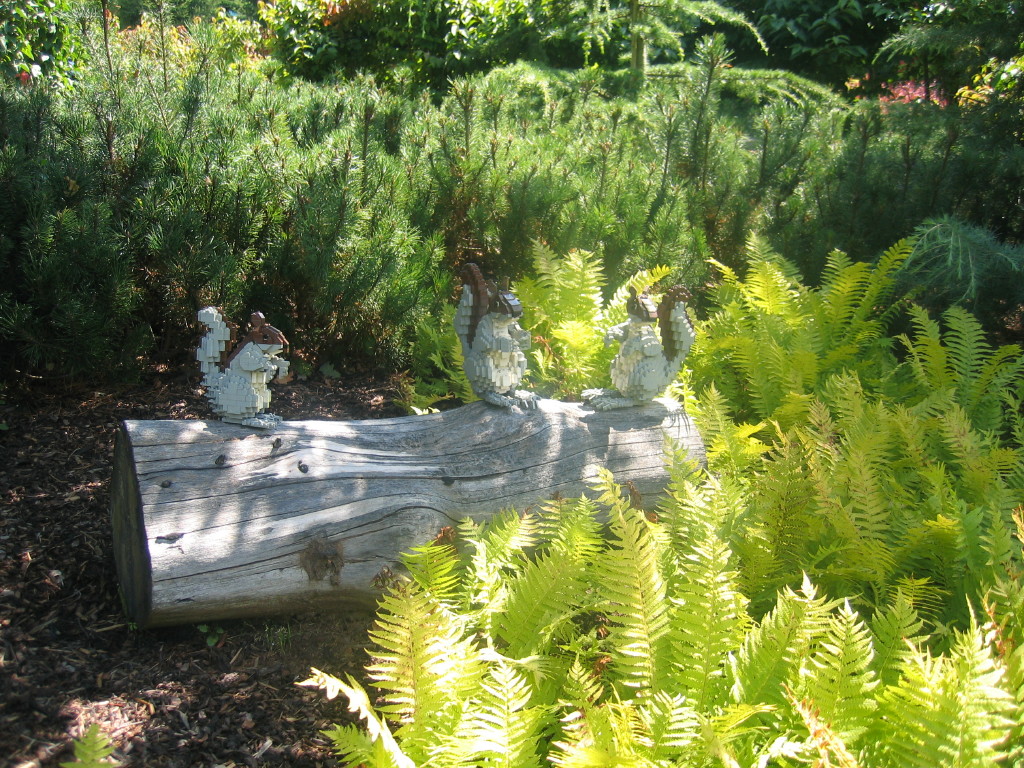 2007-07-26_0142.jpg