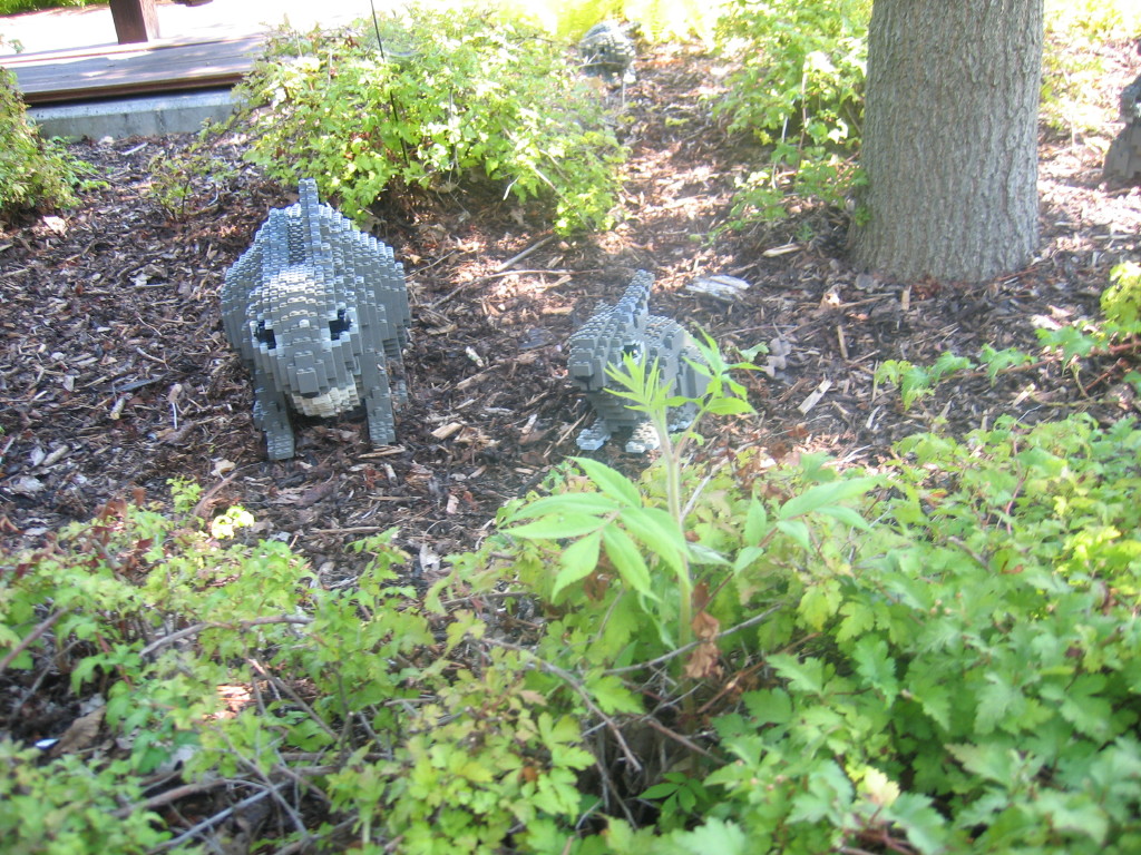 2007-07-26_0143.jpg
