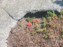 2007-07-26_0037.jpg