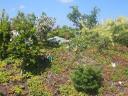2007-07-26_0038.jpg