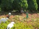 2007-07-26_0049.jpg