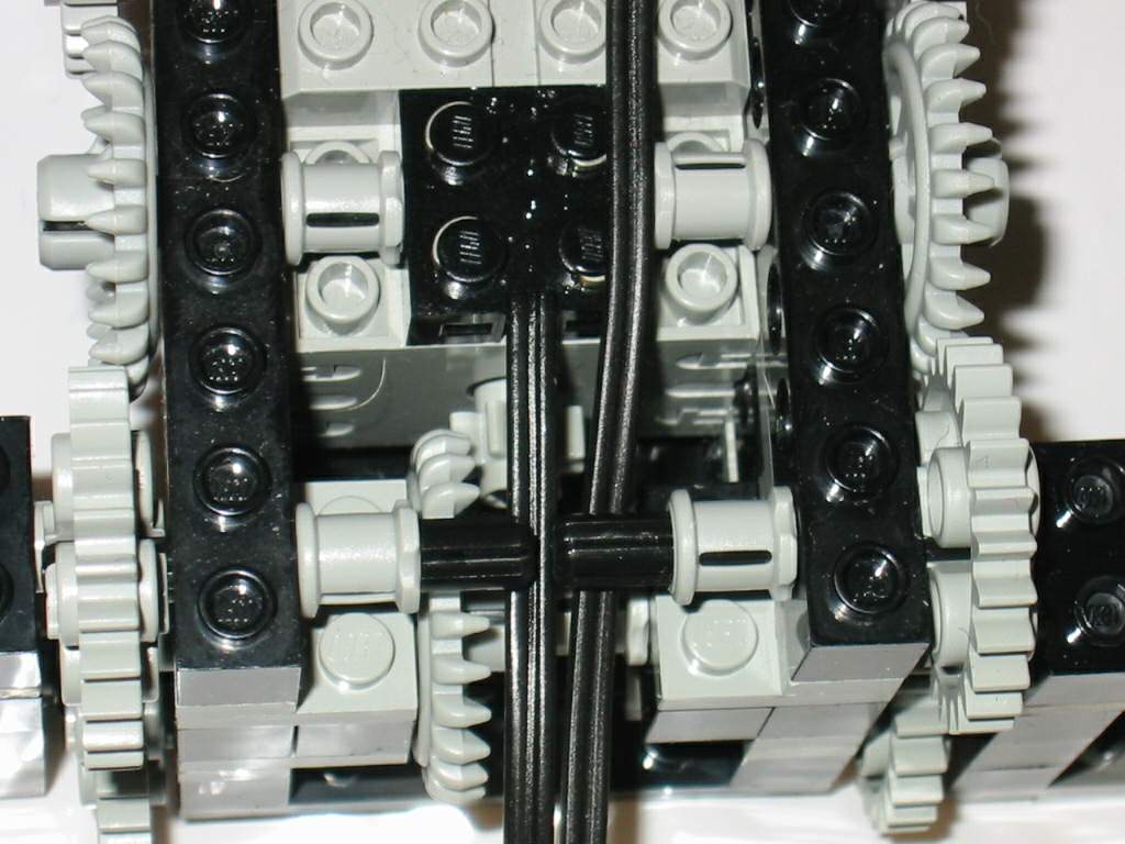 spider_detail.jpg