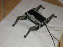 spider_overview2.jpg