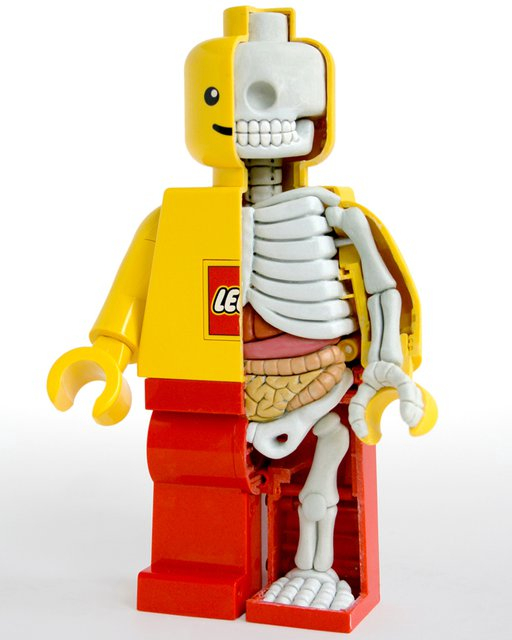 197027_501730239860000_968804796_n.png